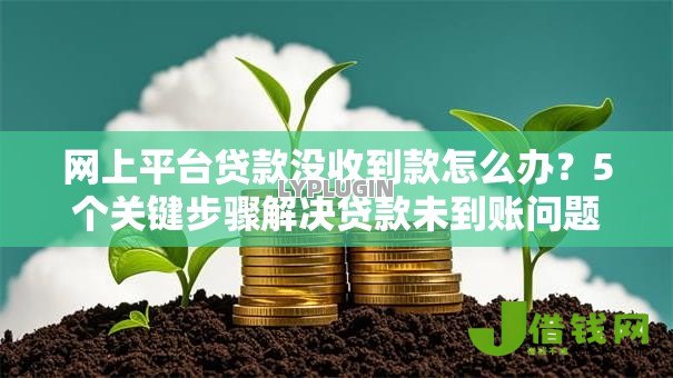 网上平台贷款没收到款怎么办?5个关键步骤解决贷款未到账问题 网上平台贷款没收到款怎么办?5个关键步骤解决贷款未到账问题
