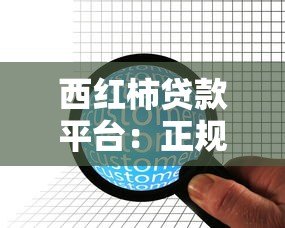 西红柿贷款平台：正规持牌机构 快速审批低息贷款方案解析