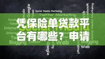 凭保险单贷款平台有哪些？申请流程与注意事项全解析