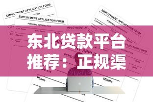 东北贷款平台推荐：正规渠道选择与申请攻略