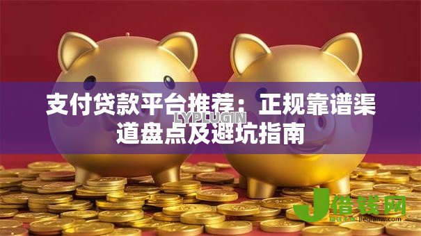 支付贷款平台推荐：正规靠谱渠道盘点及避坑指南