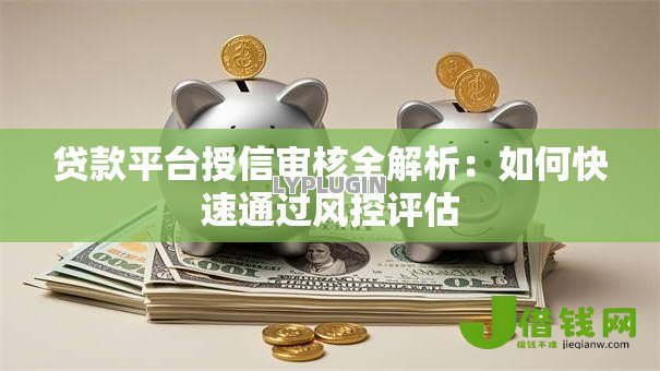 贷款平台授信审核全解析：如何快速通过风控评估