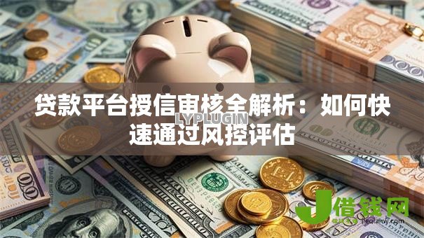贷款平台授信审核全解析：如何快速通过风控评估