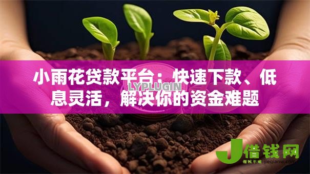 小雨花贷款平台:快速下款、低息灵活,解决你的资金难题 小雨花贷款平台:快速下款、低息灵活,解决你的资金难题