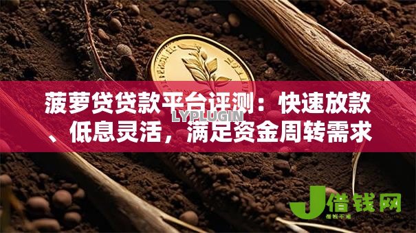 菠萝贷贷款平台评测:快速放款、低息灵活,满足资金周转需求 菠萝贷贷款平台评测:快速放款、低息灵活,满足资金周转需求