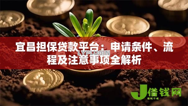 宜昌担保贷款平台：申请条件、流程及注意事项全解析