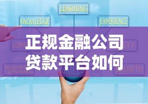正规金融公司贷款平台如何选?5招教你避开套路贷 正规金融公司贷款平台如何选?5招教你避开套路贷