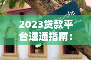2023贷款平台速通指南：快速下款技巧与避坑攻略