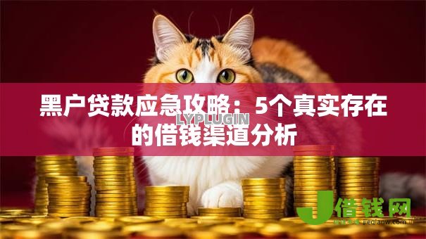 黑户贷款应急攻略：5个真实存在的借钱渠道分析