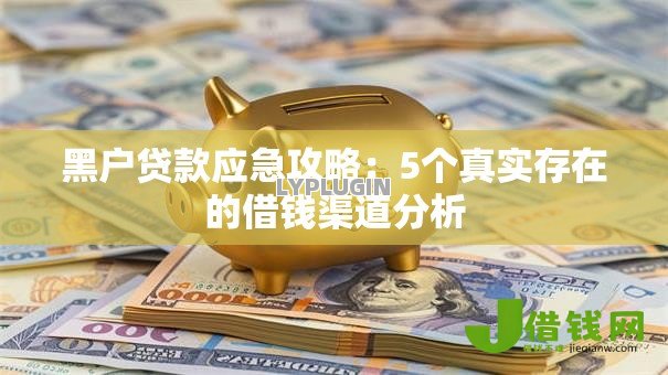 黑户贷款应急攻略：5个真实存在的借钱渠道分析