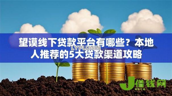 望谟线下贷款平台有哪些?本地人推荐的5大贷款渠道攻略 望谟线下贷款平台有哪些?本地人推荐的5大贷款渠道攻略