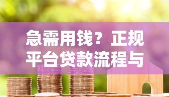 急需用钱？正规平台贷款流程与避坑指南