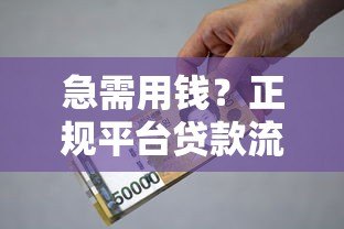 急需用钱？正规平台贷款流程与避坑指南