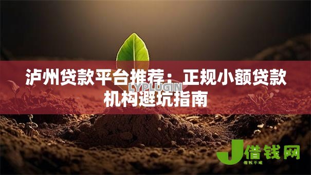 泸州贷款平台推荐：正规小额贷款机构避坑指南