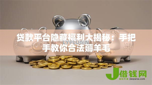 贷款平台隐藏福利大揭秘：手把手教你合法薅羊毛