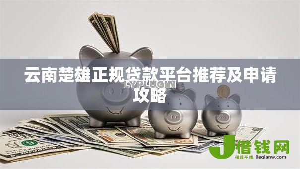 云南楚雄正规贷款平台推荐及申请攻略