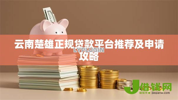 云南楚雄正规贷款平台推荐及申请攻略