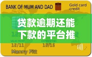 贷款逾期还能下款的平台推荐｜征信不良急需资金必看攻略