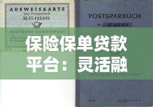 保险保单贷款平台：灵活融资新选择，快速解决资金需求
