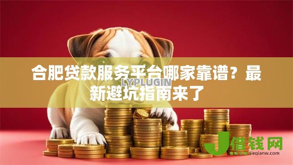 合肥贷款服务平台哪家靠谱？最新避坑指南来了