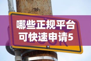 哪些正规平台可快速申请5000元贷款？这10个渠道安全靠谱