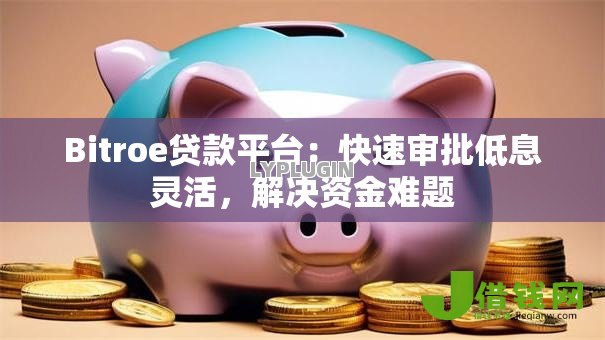 Bitroe贷款平台：快速审批低息灵活，解决资金难题