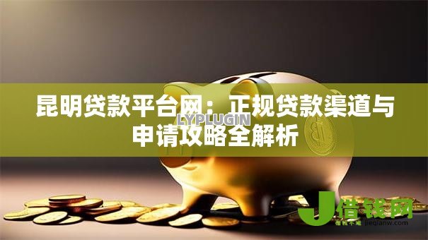 昆明贷款平台网：正规贷款渠道与申请攻略全解析