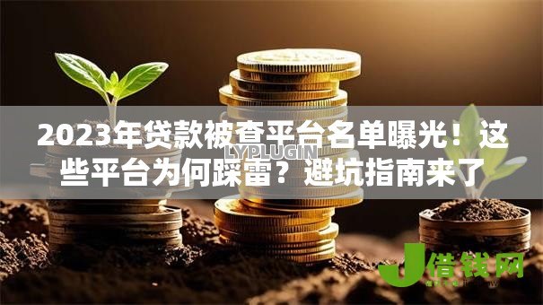 2023年贷款被查平台名单曝光!这些平台为何踩雷?避坑指南来了 2023年贷款被查平台名单曝光!这些平台为何踩雷?避坑指南来了
