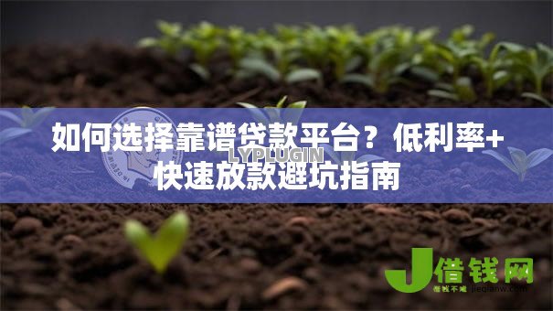 如何选择靠谱贷款平台?低利率+快速放款避坑指南 如何选择靠谱贷款平台?低利率+快速放款避坑指南