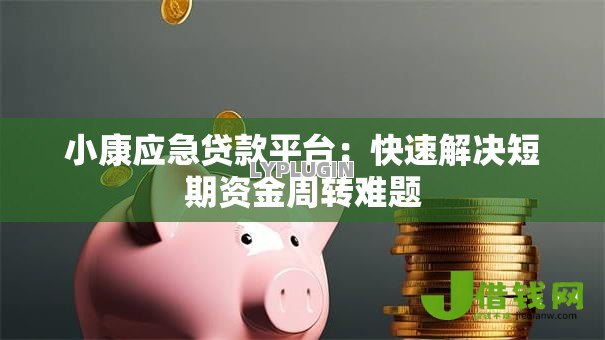 小康应急贷款平台：快速解决短期资金周转难题