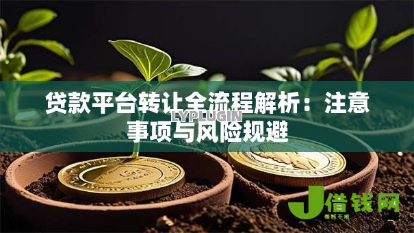 贷款平台转让全流程解析：注意事项与风险规避