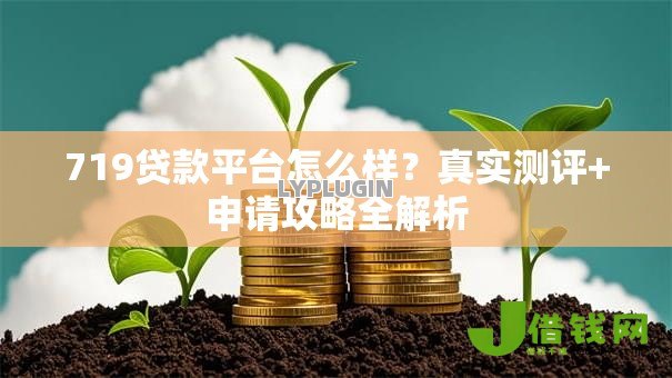 719贷款平台怎么样？真实测评+申请攻略全解析