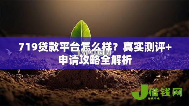 719贷款平台怎么样？真实测评+申请攻略全解析