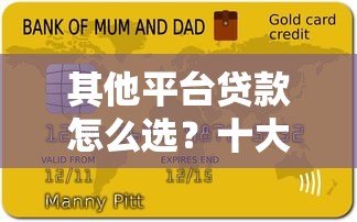 其他平台贷款怎么选？十大常见问题深度解析