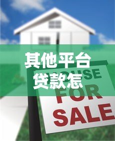 其他平台贷款怎么选？十大常见问题深度解析