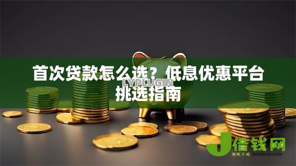 首次贷款怎么选?低息优惠平台挑选指南 首次贷款怎么选?低息优惠平台挑选指南