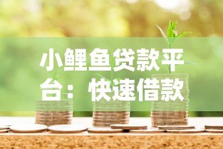 小鲤鱼贷款平台：快速借款攻略与真实用户经验分享