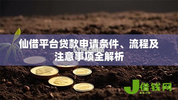仙借平台贷款申请条件、流程及注意事项全解析