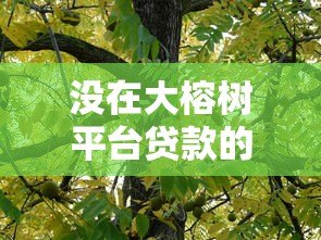 没在大榕树平台贷款的真实原因与避坑指南