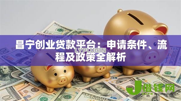 昌宁创业贷款平台：申请条件、流程及政策全解析