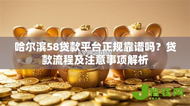 哈尔滨58贷款平台正规靠谱吗？贷款流程及注意事项解析