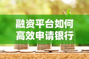 融资平台如何高效申请银行贷款？这5大流程与避坑指南必看