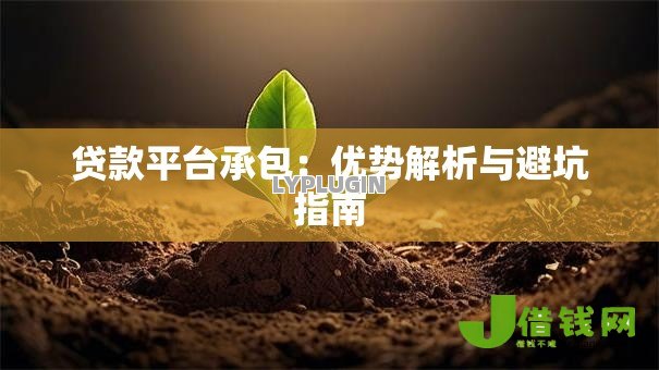 贷款平台承包：优势解析与避坑指南