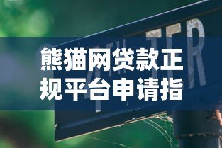 熊猫网贷款正规平台申请指南：快速放款、低息灵活