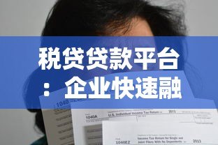 税贷贷款平台：企业快速融资的合规选择指南