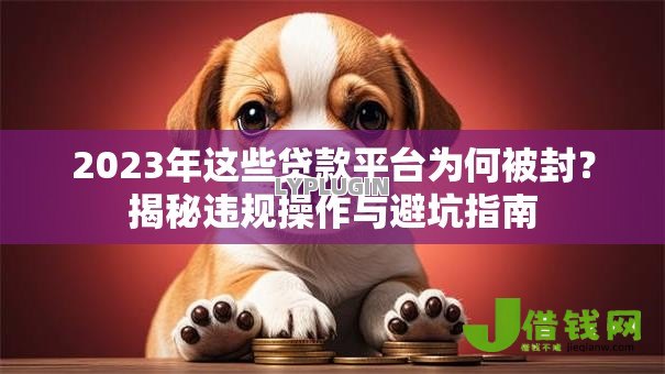 2023年这些贷款平台为何被封？揭秘违规操作与避坑指南