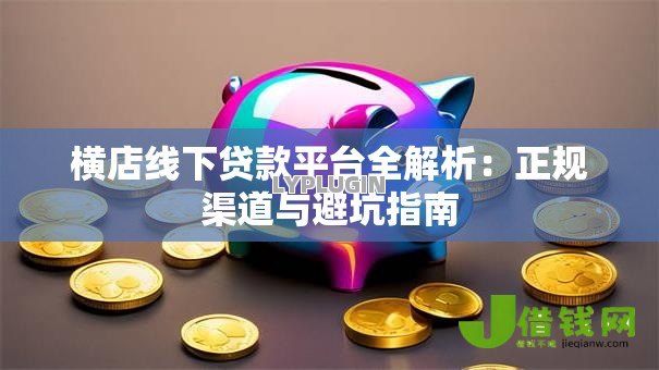 横店线下贷款平台全解析：正规渠道与避坑指南
