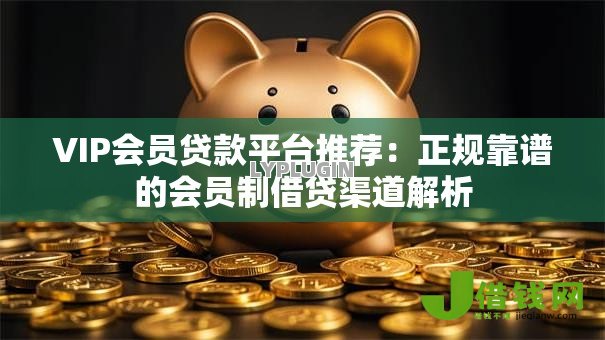 VIP会员贷款平台推荐：正规靠谱的会员制借贷渠道解析