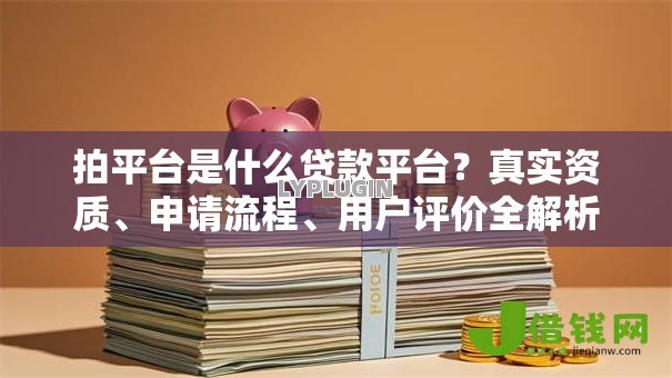 拍平台是什么贷款平台？真实资质、申请流程、用户评价全解析