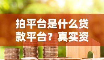 拍平台是什么贷款平台？真实资质、申请流程、用户评价全解析